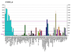 PBB GE CD44 212063 at fs.png
