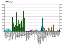 PBB GE PRNP 215707 s at fs.png