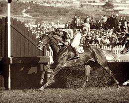 PETER PAN lll 1933 AJC ST LEGER JIM PIKE.JPG