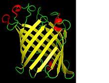 Phospholipase A1.jpg
