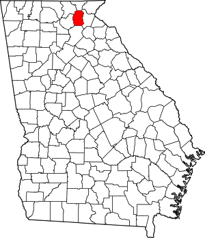 Map of Georgia highlighting White County