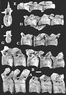 Bagaraatan ostromi.jpg