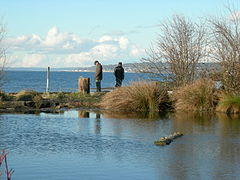 Golden Gardens 06.jpg