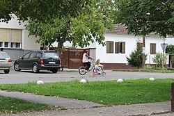 Donji Petrovci 2 foto Mile Vajagic.jpg