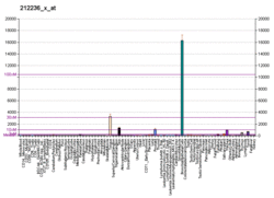 PBB GE KRT17 212236 x at fs.png