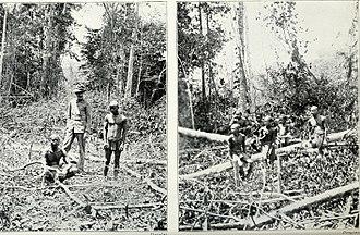Pagan races of the Malay Peninsula (1906) (14781589525).jpg