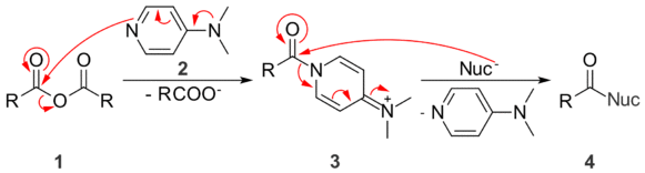 DMAP activates anhydrides towards nucleophilic substitution by creating a better leaving group.
