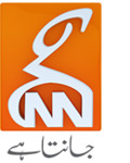 GNN News logo.png