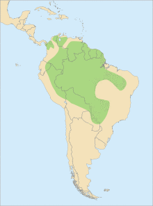Distribution Ara chloropterus.svg