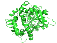 Epoxide Hydrolase B (2E3J).png