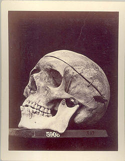 3300164908 ae4c183fb5 oFlècheAmérindien.jpg