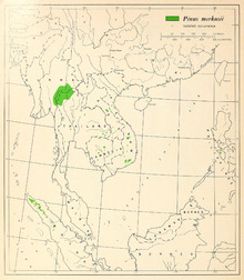 CL-39 Pinus merkusii range map.png
