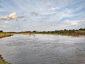 Gumti River 2018-08-31 (5).jpg