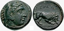 Coin of Perdikkas III. 365-359 BCE.jpg