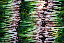 Paret de calçots.jpg