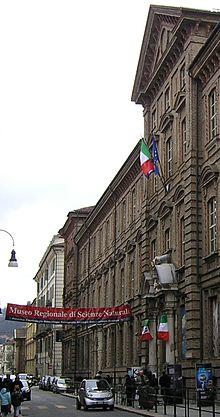Torino-MuseoScienzeNaturali.jpg
