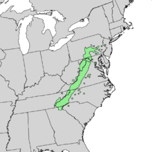 Pinus pungens distribution map.png