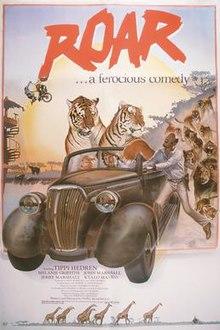 A husband and wife are in an older truck that also contains two tigers and a man hanging on the side, as they drive away from a pride of lions.