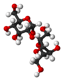 Ball-and-stick model of sucrose