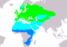 SylviaCommunisIUCN2019-3.png