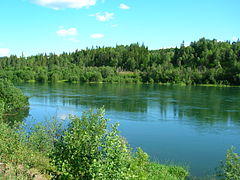 RanelvaSelfors10.JPG
