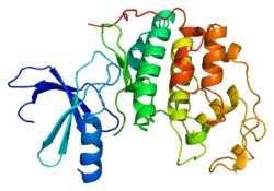 Protein CDK2 PDB 1aq1.png