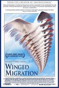 Winged Migration movie.jpg