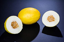 Canary melon 2010.jpg