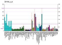 PBB GE AKT1 207163 s at fs.png