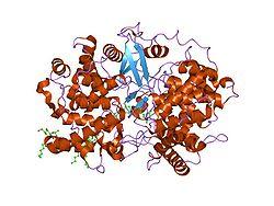 PDB 1w6j EBI.jpg