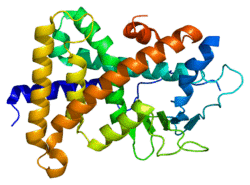 Protein NR1I2 PDB 1ilg.png