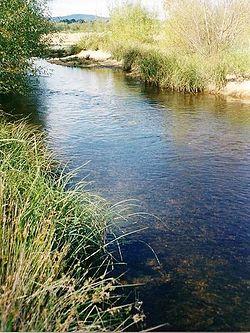 Shoalhaven River - near the Great Dividing Range, west of Batemans Bay.jpg