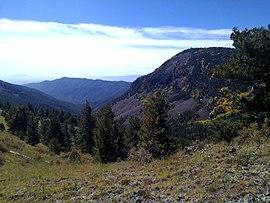 MagdalenaMtns SawmillCanyon.jpg