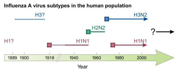 Influenza subtypes.svg