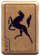 Insigne 5° DB.JPG
