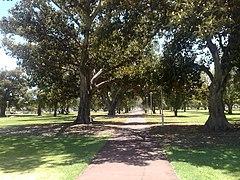 Whitmore square 2.jpg