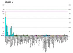 PBB GE BID 204493 at fs.png