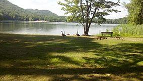 Moreau Lake Birds.jpg