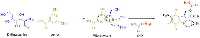 Mitomycin c tailoring.svg