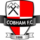 Cobham F.C. logo.png