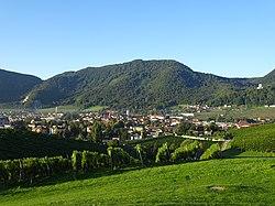 View of Slovenske Konjice from Škalce