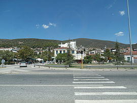 Stylida 8245188.JPG