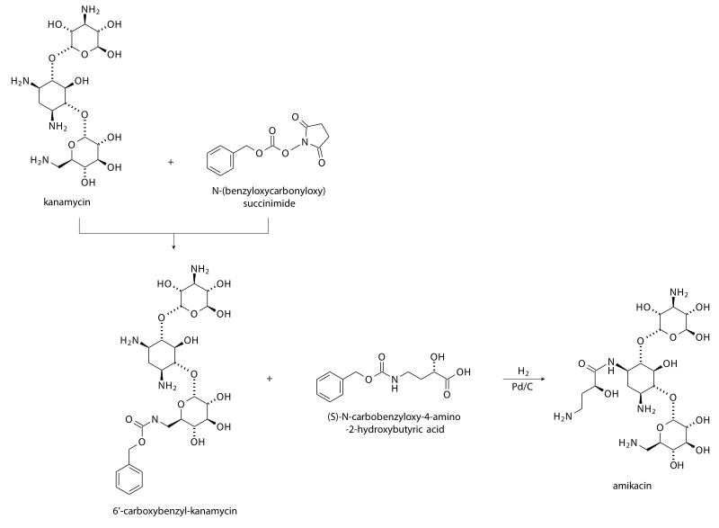 The synthesis of amikacin