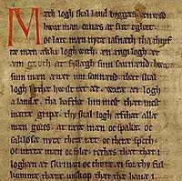 Codex Holmiensis CE 1350.jpg