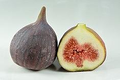 Fig (Ficus carica) fruits.jpg