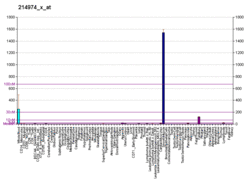 PBB GE CXCL5 214974 x at fs.png