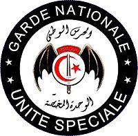 Unité Speciale de la Garde Nationale Logo.jpg