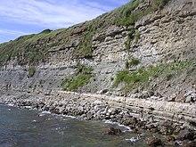 Cliff face west of Bran Point - geograph.org.uk - 23884.jpg