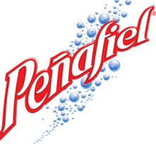 Peñafiel logo.png