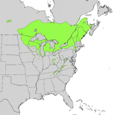 Thuja occidentalis range map.png